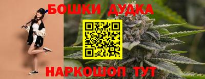 spice Обнинск