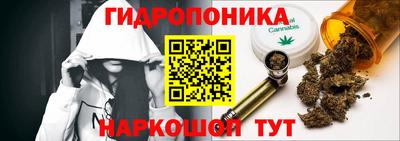 spice Обнинск